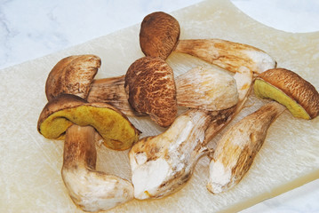 Steinpilze 1