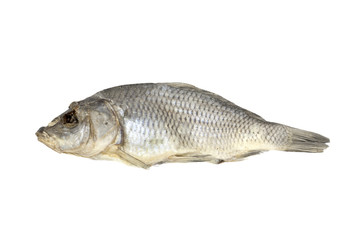 Dried fish allocated on a white background