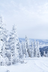 Tiefer Winter