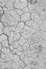 monochrome background texture abstraction