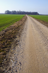 rural gravel road between agricultural fields