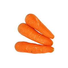 Carrot fresh vegetable group on white background