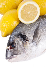 pescado crudo fresco con fondo blanco