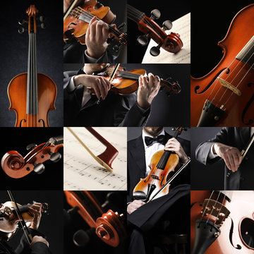 the violinist collage: Musician playing violin