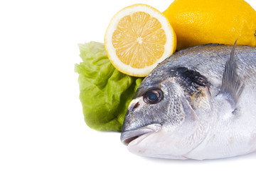 pescado crudo fresco con fondo blanco