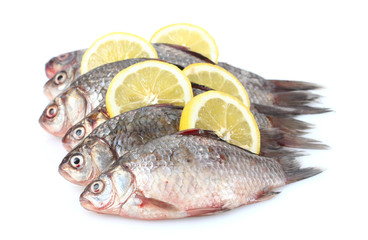 Fresh fishes with lemon isolated on white