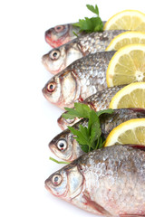 Fresh fishes with lemon and parsley isolated on white