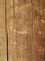 Obraz premium texture