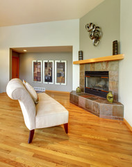 Elegant chair and fireplace living room interior.