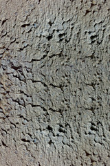 concrete texture