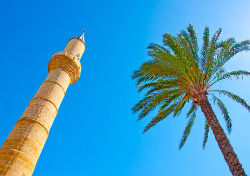 Turkish mosque in Nicosia Cyprus and palm