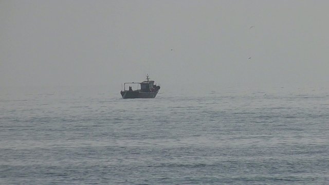 PESQUERO FAENANDO