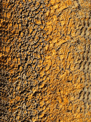 Grunge background