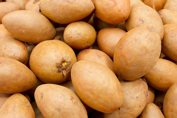 Sapodilla