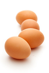 Eggs on the white background