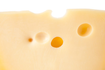 Background of fresh dutch cheese