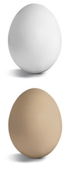 White and brown eggs isolated. Vector illustration