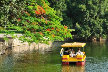 Naklejka premium 公园划船