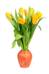 Yellow tulips in a clay pot