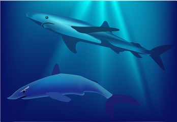 two sharks in blue sea illustration