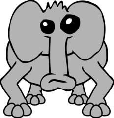 elefant