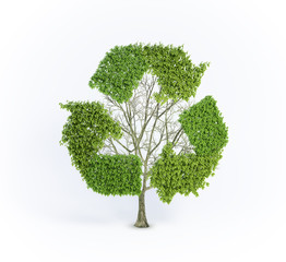 Renewable tree
