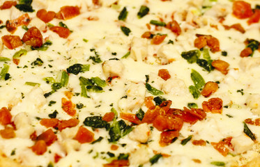 Chicken and Vegetable Pizza