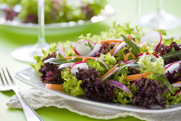 Red and Green Salad