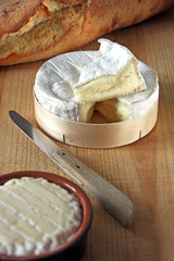 camembert