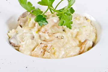 Bowl of mushroom risotto.