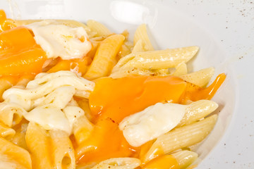 Penne pasta with parmesan, dor blue, chamamber and mozzarella