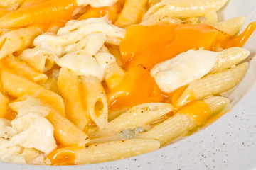Penne pasta with parmesan, dor blue, chamamber and mozzarella