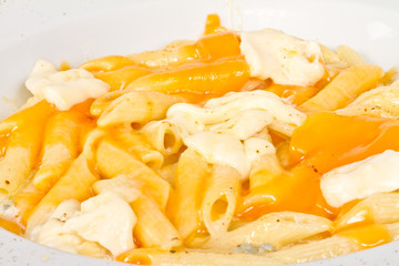 Fototapeta na wymiar Penne pasta with parmesan, dor blue, chamamber and mozzarella