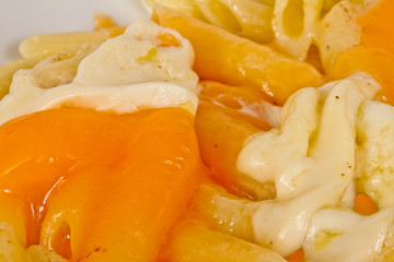 Penne pasta with parmesan, dor blue, chamamber and mozzarella