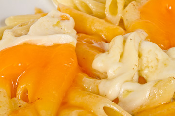 Penne pasta with parmesan, dor blue, chamamber and mozzarella