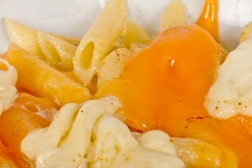 Penne pasta with parmesan, dor blue, chamamber and mozzarella