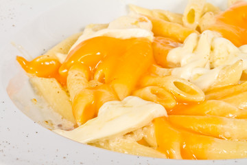 Penne pasta with parmesan, dor blue, chamamber and mozzarella