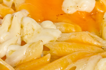 Penne pasta with parmesan, dor blue, chamamber and mozzarella