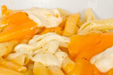 Penne pasta with parmesan, dor blue, chamamber and mozzarella