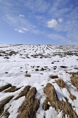 Plowed field on the slope covered with snow
