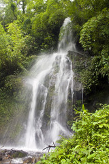 Watefall in Sikkim jungle, India