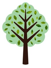 Tree Illustration