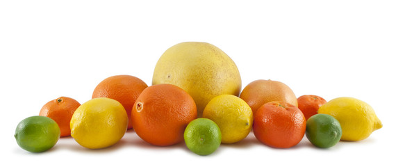 Set of citrus fruit  on white background