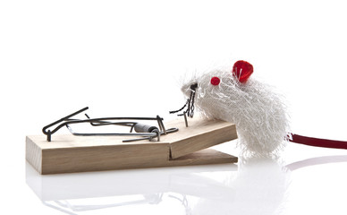 Toy Mouse and Mousetrap on White Background