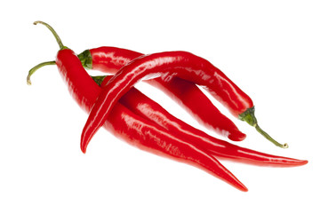 rote frische Chili Schoten isoliert