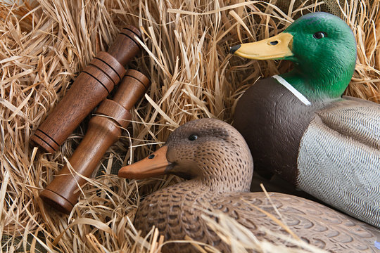 duck decoy with stuffed and calls