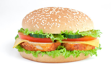 burger with chiken