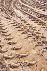 Background mark truck wheels sand human footprint