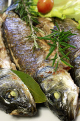 delicious roasted trout