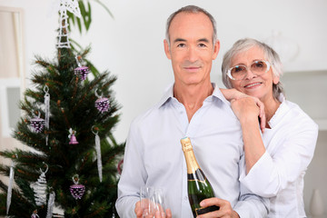 Elderly couples drinking champagne at Christmas